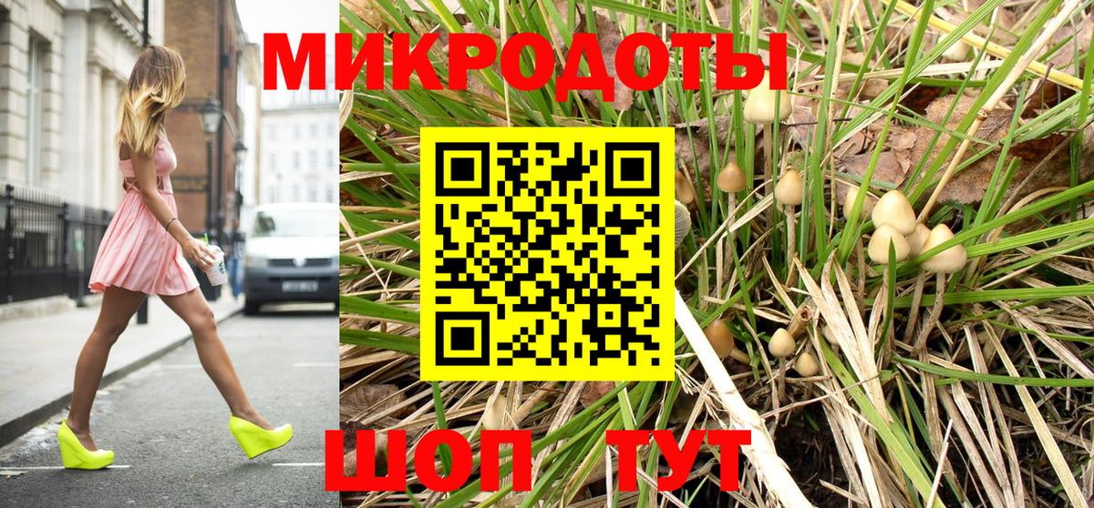 что такое   Вход с VPN  Черкесск  Галлюциногенные грибы GOLDEN TEACHER 