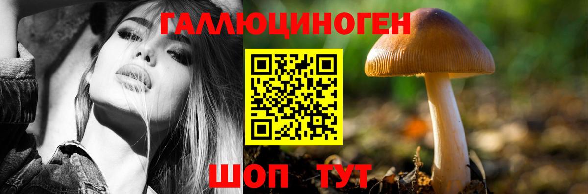 Псилоцибиновые грибы Psilocybine cubensis Черкесск